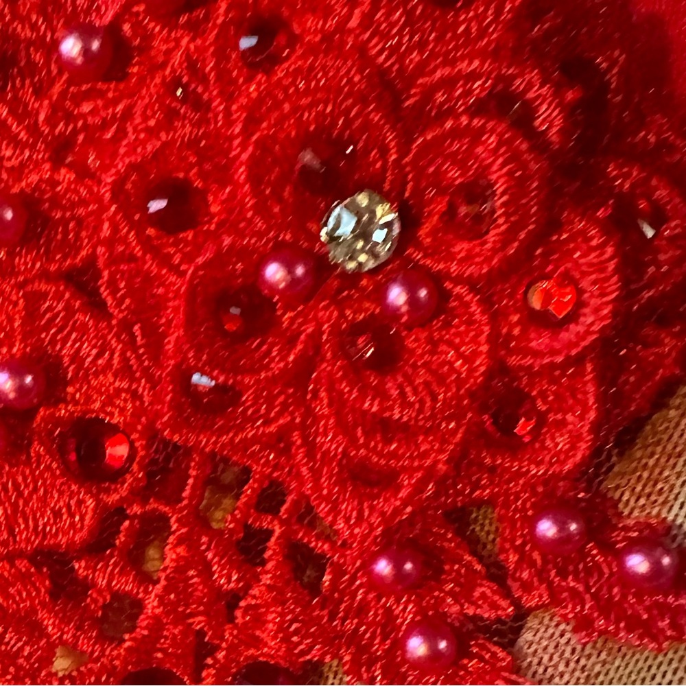 Glamour Red Rhinestone dance costume - Picture 8 of 8